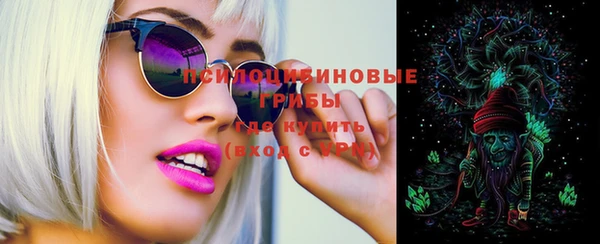 ПСИЛОЦИБИНОВЫЕ ГРИБЫ Вязьма