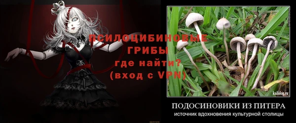 ECSTASY Вяземский
