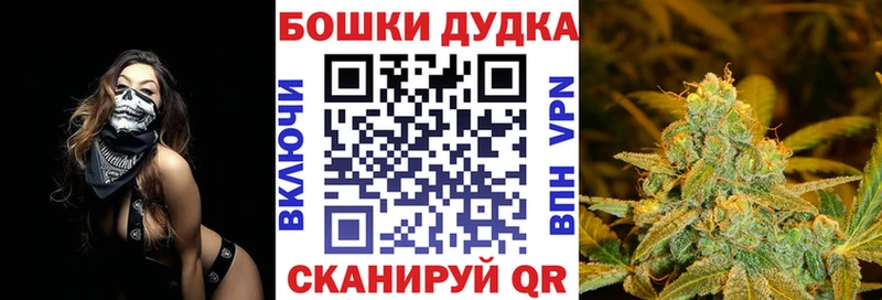 Бошки марихуана SATIVA & INDICA  закладка  Гвардейск 